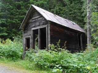 Abandoned house Abandoned house in Cody #olafincanada #britishcolumbia #discoverbc #abandonedbc #cody