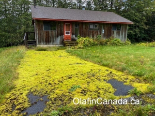 Abandoned house with new roof Kitsault abandoned house with new roof and old driveway #olafincanada #britishcolumbia #discoverbc #abandonedbc #kitsault