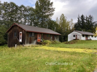 Mossy driveway Mossy driveway at abandoned house in Kitsault #olafincanada #britishcolumbia #discoverbc #abandonedbc #kitsault
