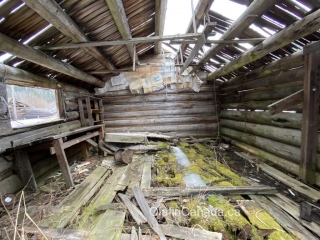 Inside old shack Inside the red, abandoned cabin on Clearwater Valley Road #olafincanada #britishcolumbia #discoverbc #abandonedbc #cabin #clearwater