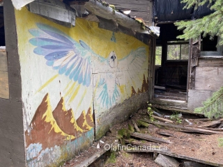 Mural Mural of an owl in Stocks Meadow in West Kelowna. #olafincanada #britishcolumbia #discoverbc #abandonedbc #stocksmeadow #hippies