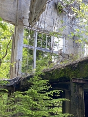 Window Powerhouse #1 Damaged window in Powerhouse #1 #olafincanada #britishcolumbia #discoverbc #abandonedbc #anyox
