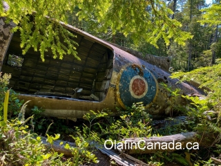 Crashed Dakota Dakota plane, crashed in 1944 near Port Hardy on Vancouver Island #olafincanada #britishcolumbia #discoverbc #abandoned #crashed #dakota