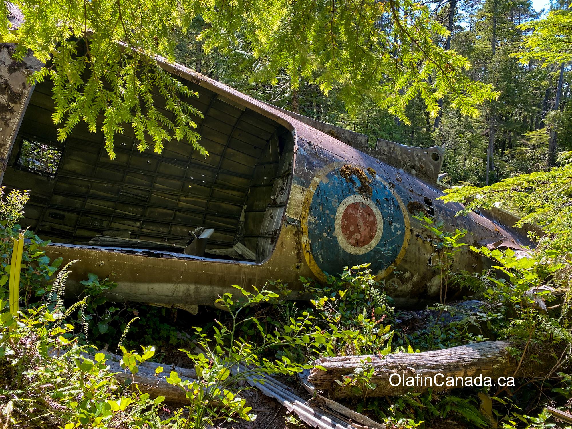 Dakota plane, crashed in 1944 near Port Hardy on Vancouver Island #olafincanada #britishcolumbia #discoverbc #abandoned #crashed #dakota