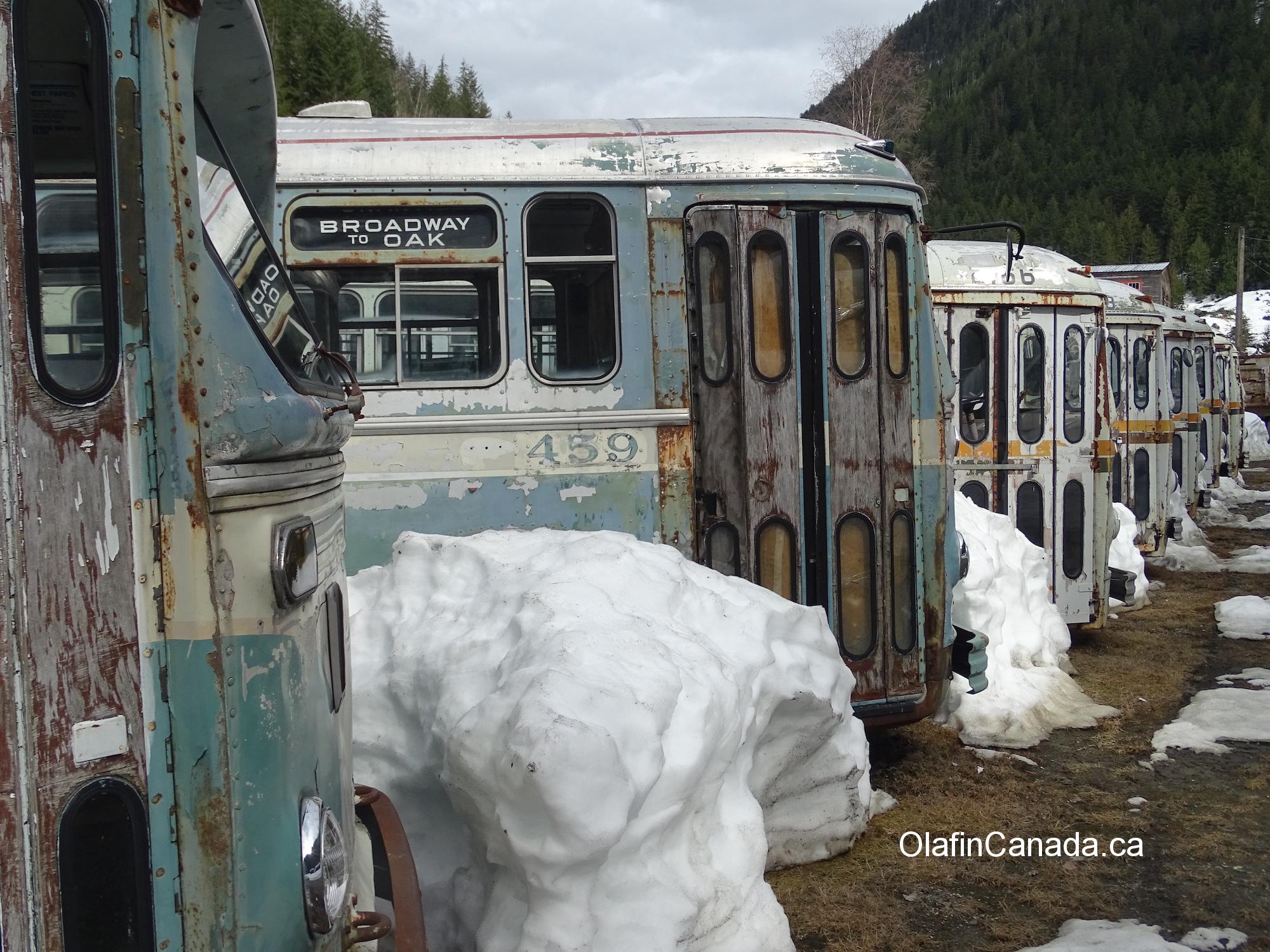 Vancouver busses from the fifties #olafincanada #britishcolumbia #discoverbc #abandonedbc #sandon #busses