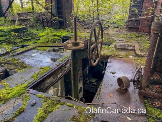 Steering wheel powerhouse Steering wheel for the turbines inside the powerhouse No. 1 at Anyox #olafincanada #britishcolumbia #discoverbc #abandonedbc #anyox #powerhouse