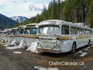 Busses in Sandon Vancouver busses from the fifties #olafincanada #britishcolumbia #discoverbc #abandonedbc #sandon #busses
