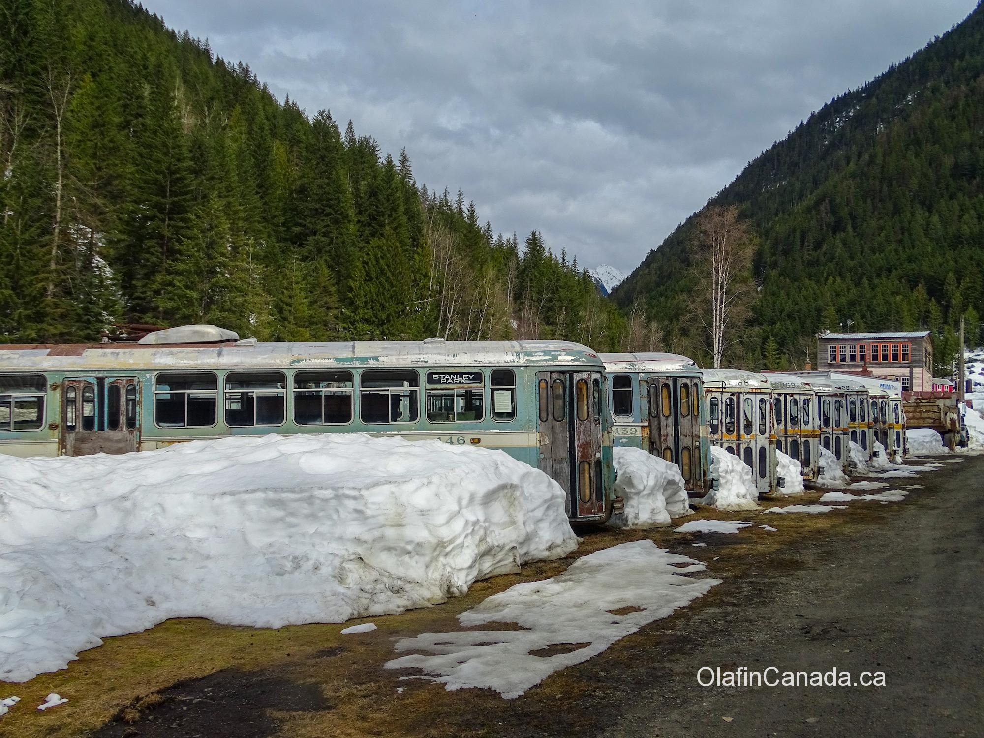 Vancouver busses from the fifties #olafincanada #britishcolumbia #discoverbc #abandonedbc #sandon #busses