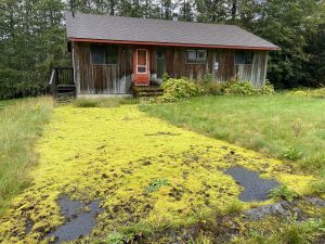 kitsault ghost town tours