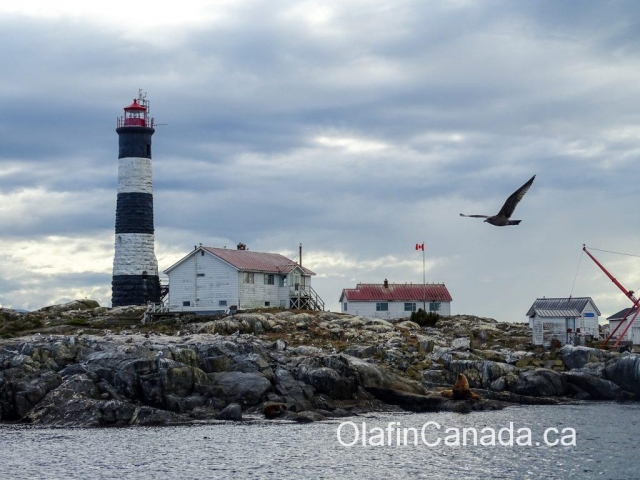 Lighthouse on research island near Victoria #olafincanada #britishcolumbia #discoverbc #victoria #lighthouse