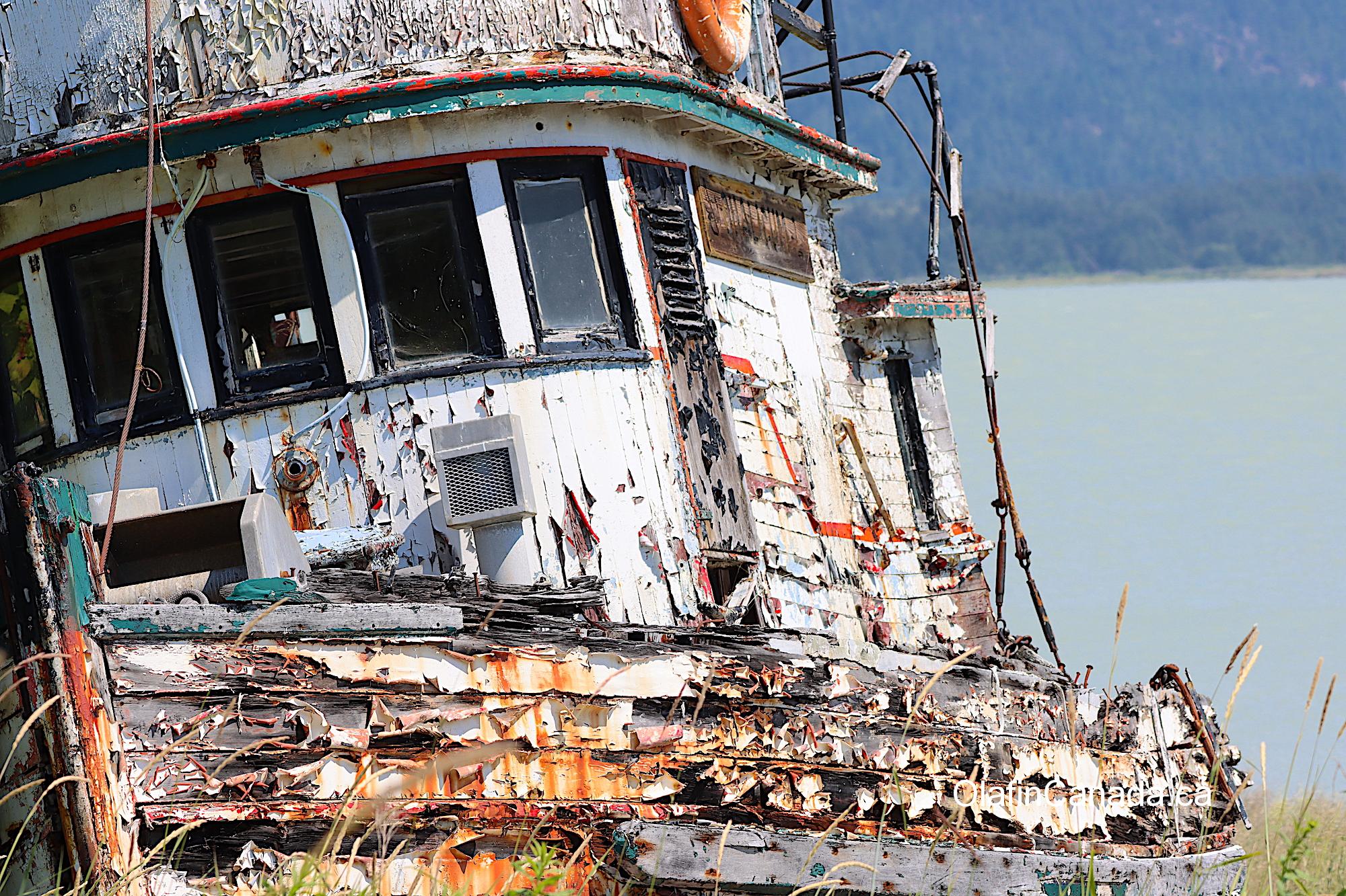 This old boat named Qualichem washed up at the cannery years ago #olafincanada #britishcolumbia #discoverbc #abandonedbc #tallheocannery #bellacoola #boat