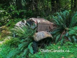 Car swallowed by the earth Old car near Sayward junction Vancouver Island #olafincanada #britishcolumbia #discoverbc #abandonedbc #vancouverisland #car