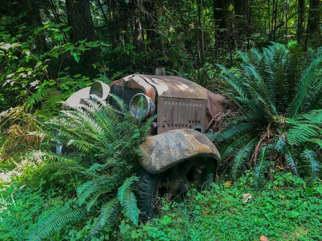 Old car near Sayward junction Vancouver Island #olafincanada #britishcolumbia #discoverbc #abandonedbc #vancouverisland #car