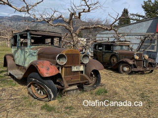 Al Capone cars Old cars from the thirties in Keremeos #olafincanada #britishcolumbia #discoverbc #abandonedbc #keremeos #car