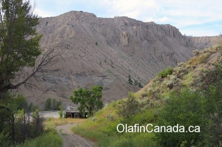 Driveway towards the homestead Walking down the driveway towards the homestead at the Pothole Ranch #olafincanada #britishcolumbia #discoverbc #abandonedbc #chilcotin #farwellcanyon #potholeranch #homestead