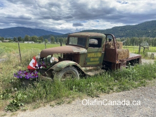 Flower truck Old truck from the 1930s in Merritt BC #olafincanada #britishcolumbia #discoverbc #abandonedbc #merritt #truck