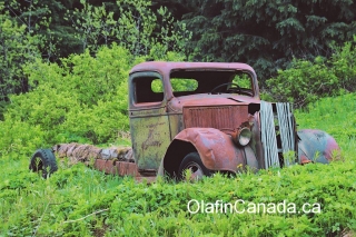 Old truck Truck in the Cariboo #olafincanada #britishcolumbia #discoverbc #abandonedbc #cariboo #truck