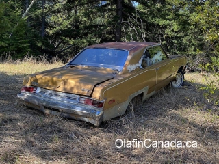 Plymouth rear view Old Plymouth car in Ogden BC #olafincanada #britishcolumbia #discoverbc #abandonedbc #plymouth #car