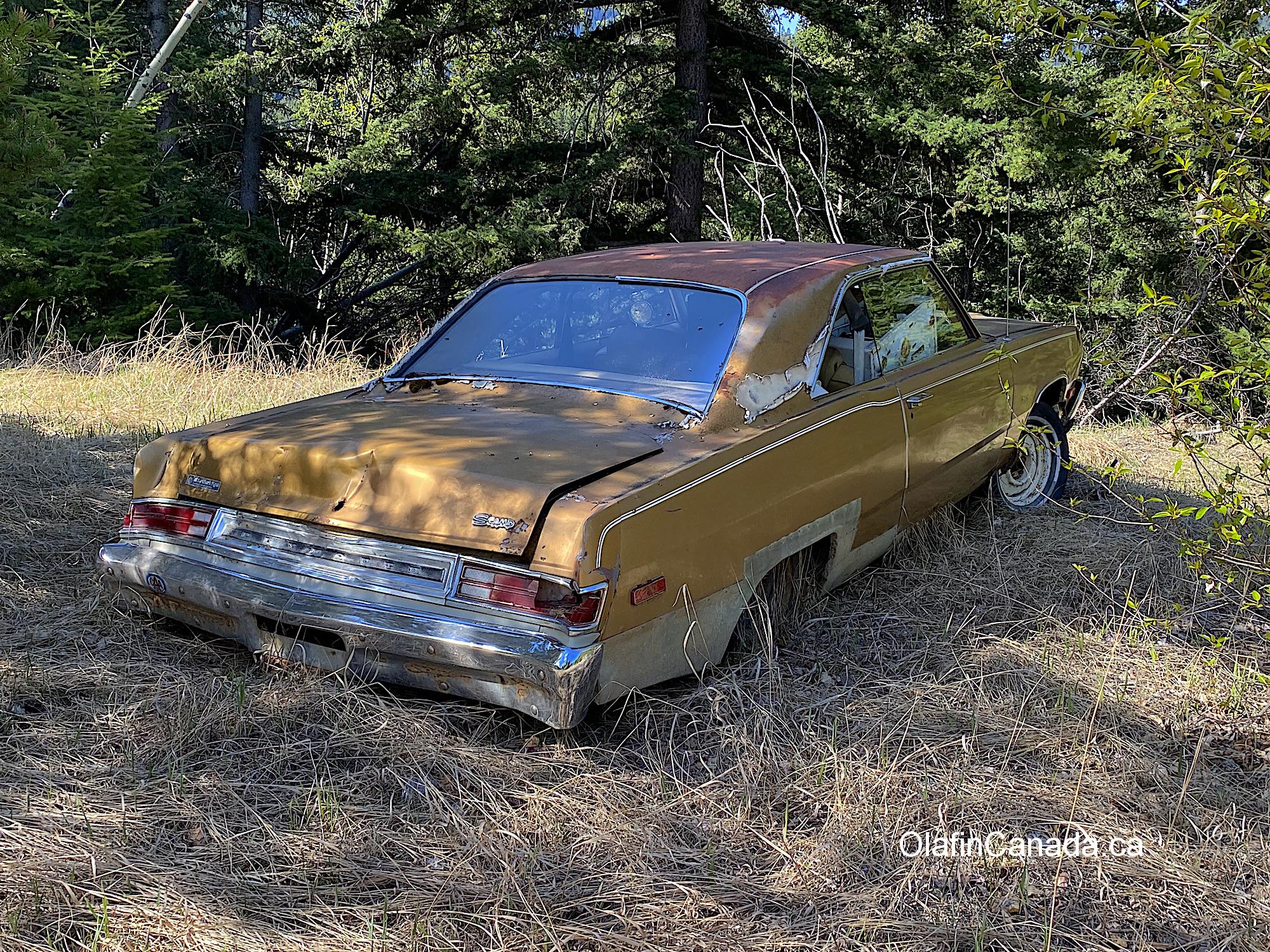 Old Plymouth car in Ogden BC #olafincanada #britishcolumbia #discoverbc #abandonedbc #plymouth #car