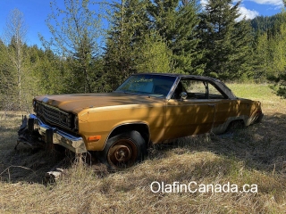 Plymouth Old Plymouth car in Ogden BC #olafincanada #britishcolumbia #discoverbc #abandonedbc #plymouth #car