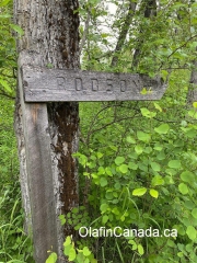 Robson Street Robson Street sign in Quesnel Forks Old grave at the cemetery in Quesnel Forks #olafincanada #britishcolumbia #discoverbc #abandonedbc #cariboo #quesnelforks