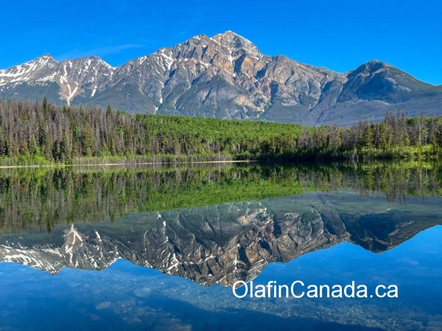 Mirror-like Patricia Lake on a sunny morning in Jasper, Alberta. #olafincanada #patricialake #jasper #rockies #alberta