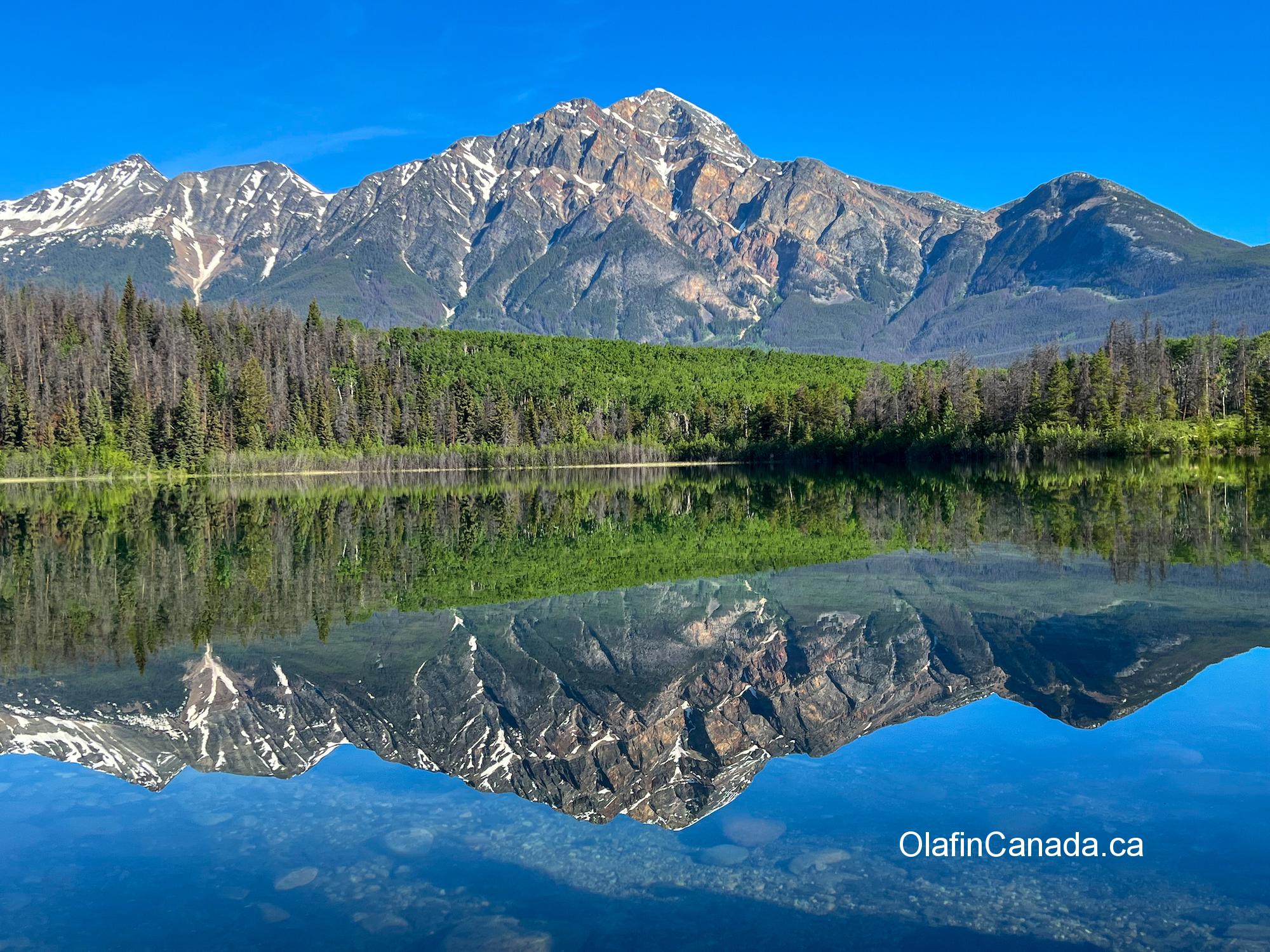 Mirror-like Patricia Lake on a sunny morning in Jasper, Alberta. #olafincanada #patricialake #jasper #rockies #alberta